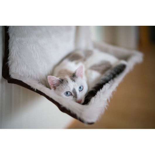 Obiektyw Venus Optics Argus 45 mm f/0,95 APO FF do Sony E