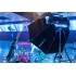Lampa LED Aputure Nova P600c Kit