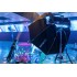 Lampa LED Aputure Nova P600c Kit