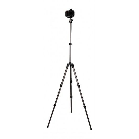 Statyw Fotopro D-5 z głowicą kulową FPH-42Q