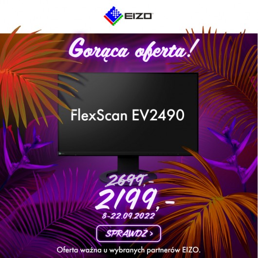 EIZO FlexScan EV2490-BK - monitor LCD - czarny