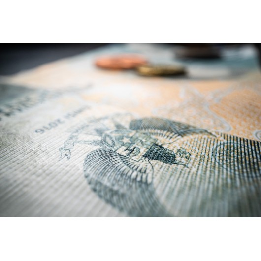 Obiektyw Venus Optics Laowa Probe 24mm f/14 Macro 2:1 do Canon RF