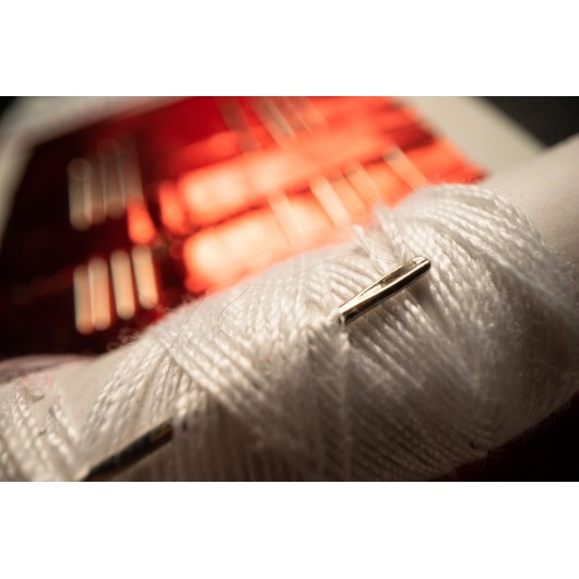 Obiektyw Venus Optics Laowa Probe 24mm f/14 Macro 2:1 do Canon RF