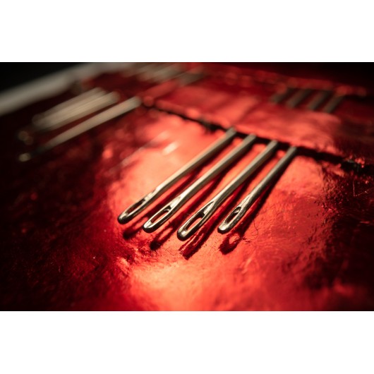 Obiektyw Venus Optics Laowa Probe 24mm f/14 Macro 2:1 do Canon RF