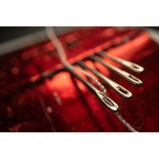 Obiektyw Venus Optics Laowa Probe 24mm f/14 Macro 2:1 do Canon RF