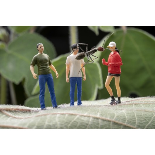 Obiektyw Venus Optics Laowa 90 mm f/2.8 Ultra Macro APO do Canon RF