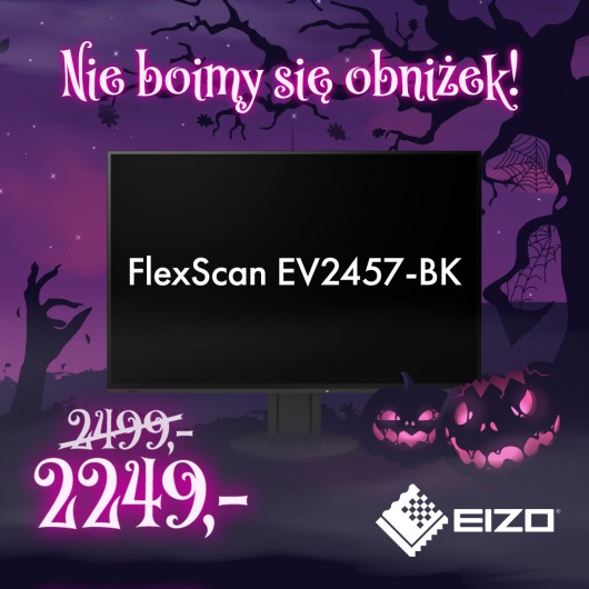 EIZO FlexScan EV2457-BK - monitor LCD IPS 24.1