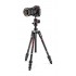 BEFREE Advanced Carbon statyw Manfrotto