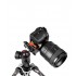 BEFREE Sony Alpha Advanced Lever statyw Manfrotto