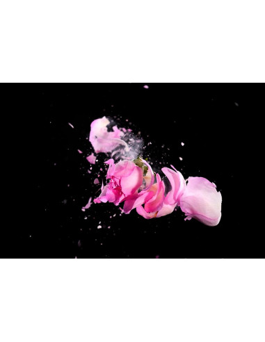 FujiFilm X-T5 + XF 18-55mm f/2,8-4 R LM OIS...