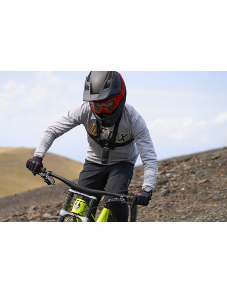 copy of Genesis Ursa L Niebieski