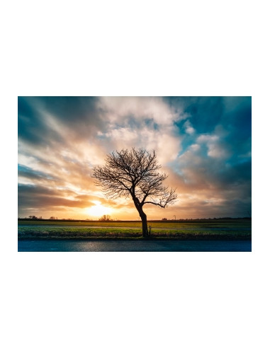 Obiektyw Venus Optics Laowa C&D-Dreamer 9 mm f/2,8 Zero-D do Canon RF