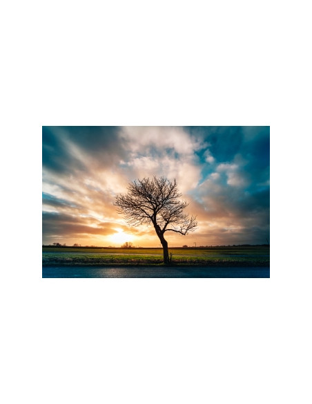 Obiektyw Venus Optics Laowa C&D-Dreamer 9 mm f/2,8 Zero-D do Canon RF