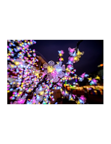 Obiektyw Venus Optics Laowa C&D-Dreamer 9 mm f/2,8 Zero-D do Canon RF