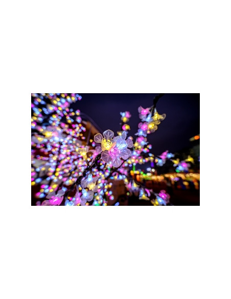 Obiektyw Venus Optics Laowa C&D-Dreamer 9 mm f/2,8 Zero-D do Canon RF