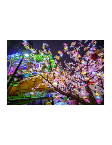 Obiektyw Venus Optics Laowa C&D-Dreamer 9 mm f/2,8 Zero-D do Canon RF