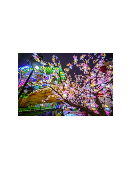 Obiektyw Venus Optics Laowa C&D-Dreamer 9 mm f/2,8 Zero-D do Canon RF