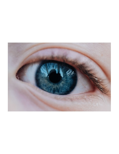 Obiektyw Venus Optics Laowa 65 mm f/2,8 2x Ultra Macro APO do Canon RF