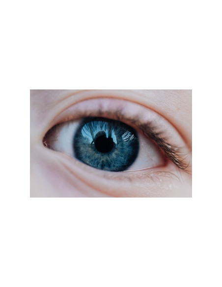 Obiektyw Venus Optics Laowa 65 mm f/2,8 2x Ultra Macro APO do Canon RF