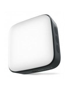 Lampa LED Newell Campina - grafitowa