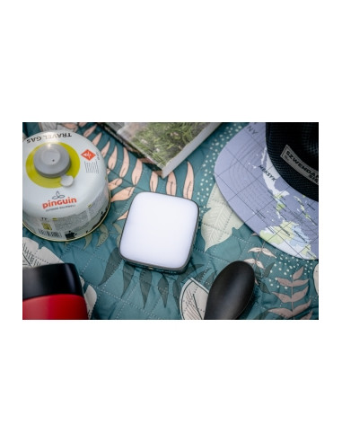 Lampa LED Newell Campina - grafitowa