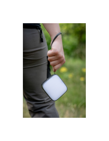 Lampa LED Newell Campina - grafitowa