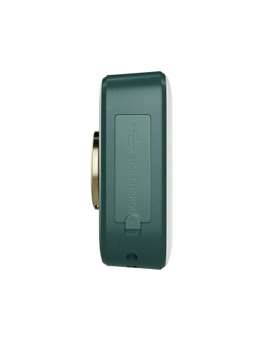 Lampa LED Newell Campina - zielona