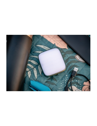 Lampa LED Newell Campina - zielona