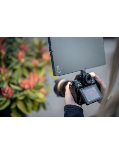 Lampa LED Newell RGB-W Rangha Max XL