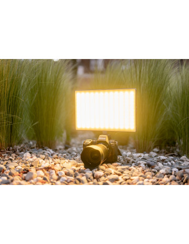 Lampa LED Newell RGB-W Rangha Max XL