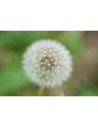 Obiektyw Nikkor Z 70-180mm f/2.8