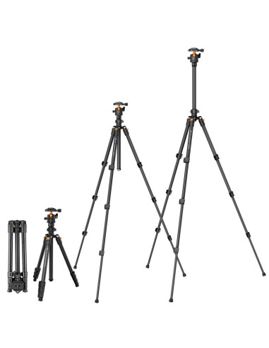 Statyw K&F Concept K234A0 z głowicą kulową...