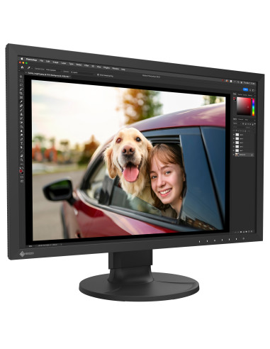 EIZO ColorEdge CS2400R - monitor LCD 24" z...