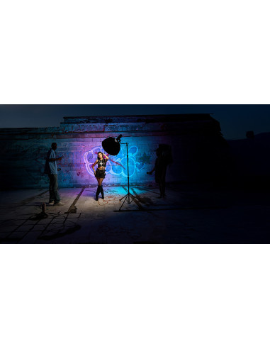 WESTCOTT ramię przedłużające Shorty