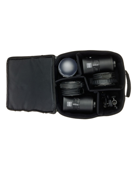 Elinchrom LED 100 C - LED Light Dual Kit