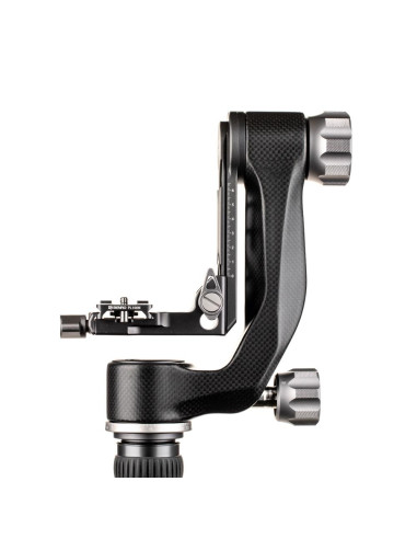 Benro głowica gimbalowa GH5C Mini