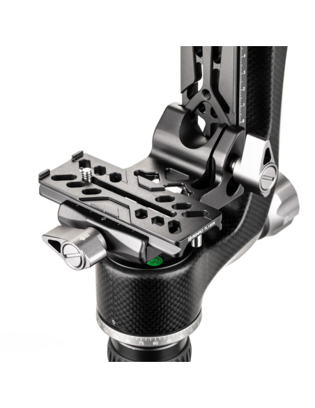 Benro głowica gimbalowa GH5C Mini