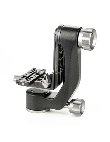 Benro głowica gimbalowa GH5C Mini