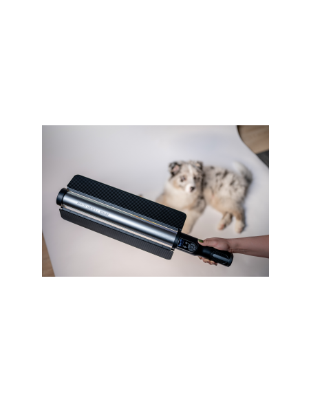 Lampa LED Newell RGB Dewi 50