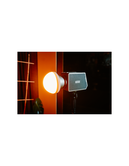 Lampa LED Newell Zora 90 RGB