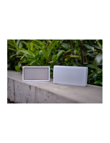 Lampa LED Newell Arya RGB 40 W