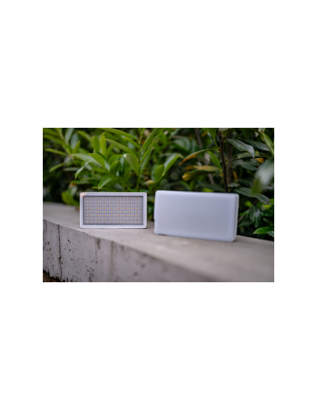 Lampa LED Newell Arya RGB 40 W