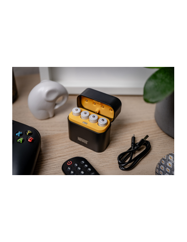 Ładowarka 4-kanałowa Newell do akumulatorów...