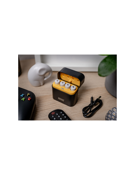 Ładowarka 4-kanałowa Newell do akumulatorów Li-ion + 4 akumulatory Li-ion AA 2200 mAh