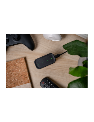 Ładowarka 4-kanałowa Newell do akumulatorów...