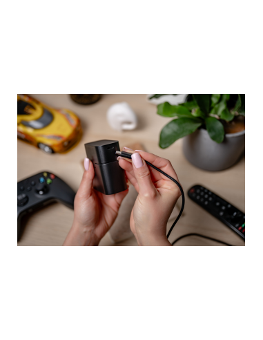 Ładowarka 4-kanałowa Newell do akumulatorów...