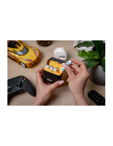 Ładowarka 4-kanałowa Newell do akumulatorów...