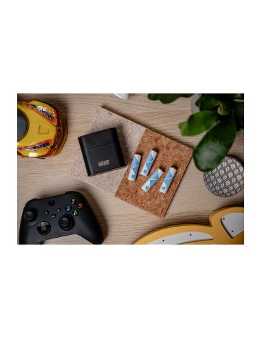 Ładowarka 4-kanałowa Newell do akumulatorów...