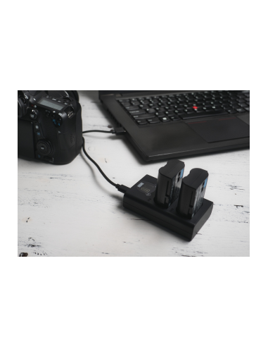 Ładowarka dwukanałowa Newell DL-USB-C do...