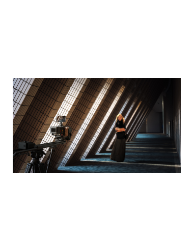 Slider Zeapon Micro 4 E700 z modułem napędowym